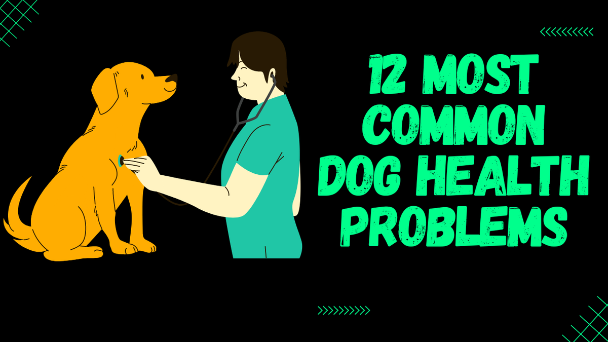 12 Most Common Dog Health Problems