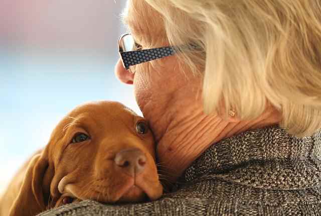 11 best dogs for elderly widows - Senior Citizens & Dogs