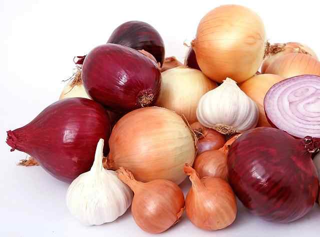 The Bottom Line: Why Is Garlic Bad For Dogs? Food Allergies In Dogs