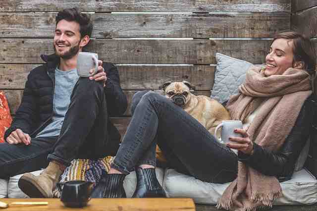 31 Benefits Of Having Pets In 2021 Improve Relationships