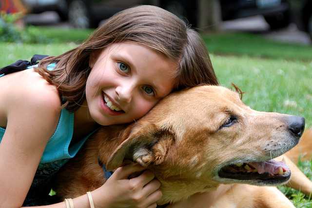 Best Dogs For Kids