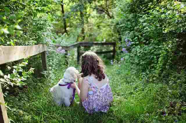 31 Benefits Of Having Pets In 2021 Dogs Can Teach Kids Responsibility