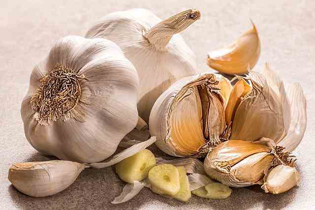 Why Is Garlic Bad For Dogs
