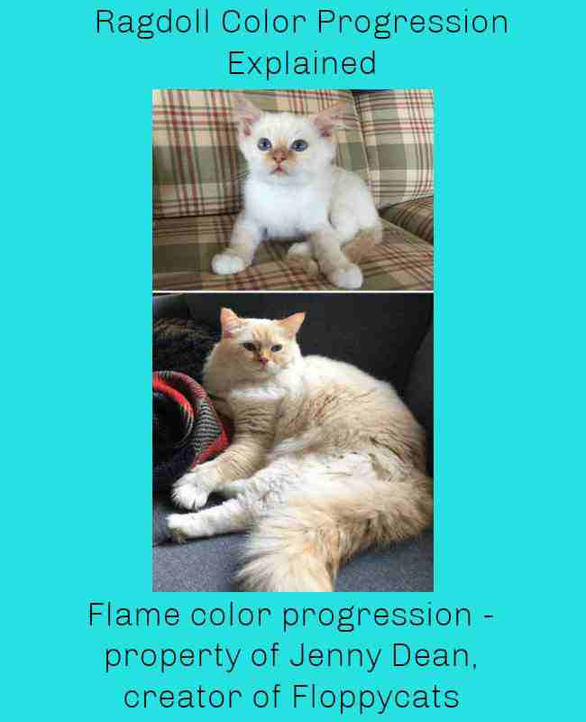 Flame color progression