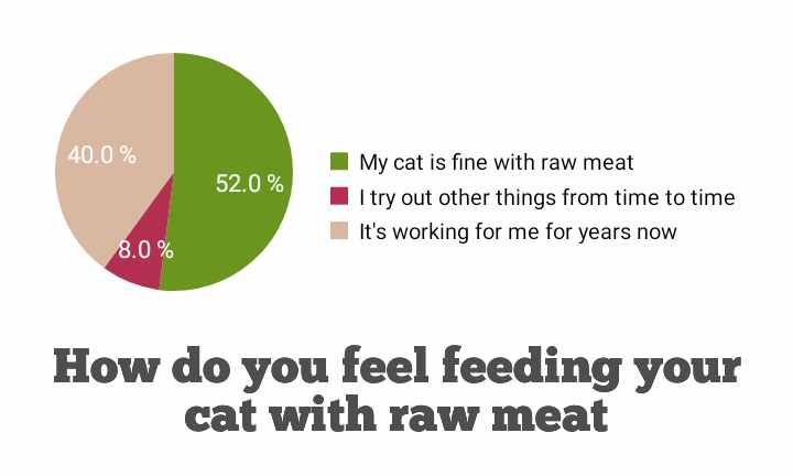 How do you feel feeding your cat with raw meat