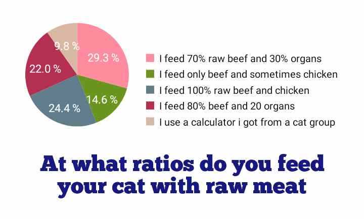 Ratios for feeding cat with raw meat