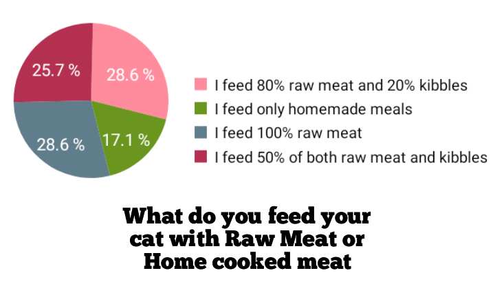 What type of meat do you feed your cat