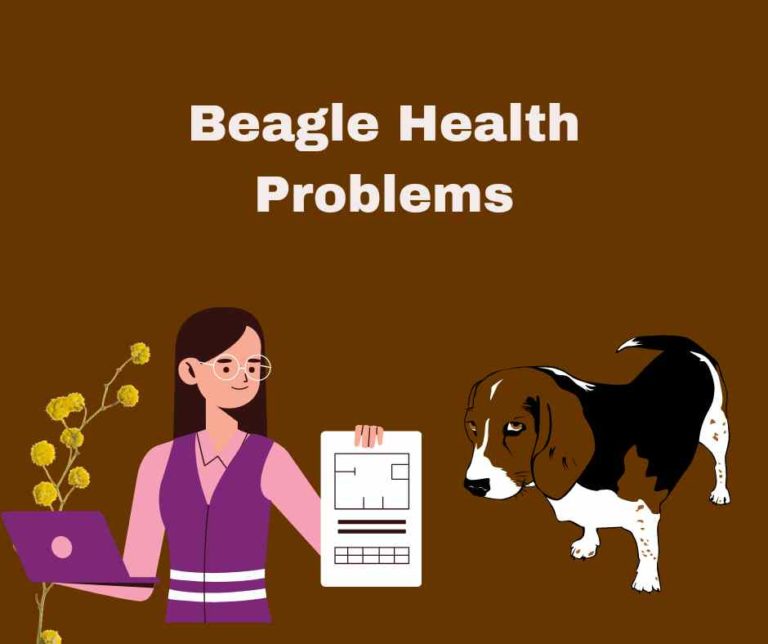 7 Most Common Beagle Health Problems: Causes & More