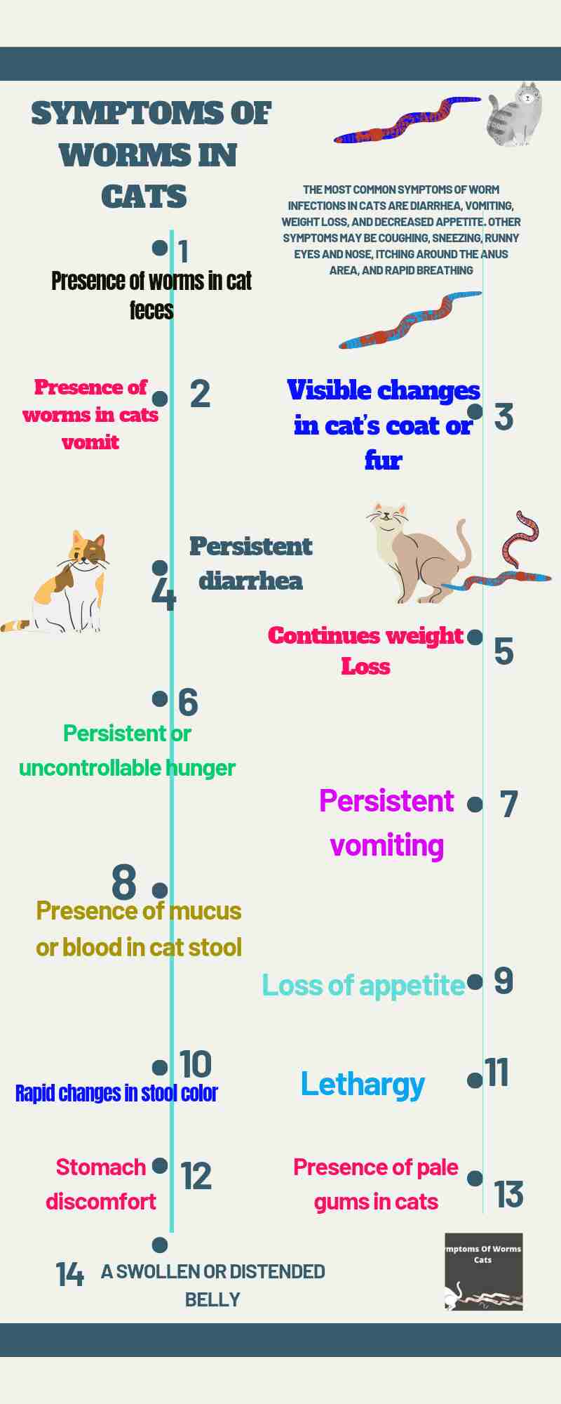 17 Most Common Symptoms Of Worms In Cats You Should Know