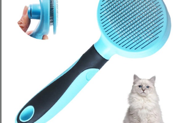 Ragdoll cat brush