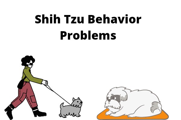 Shih Tzu Behavior Problems