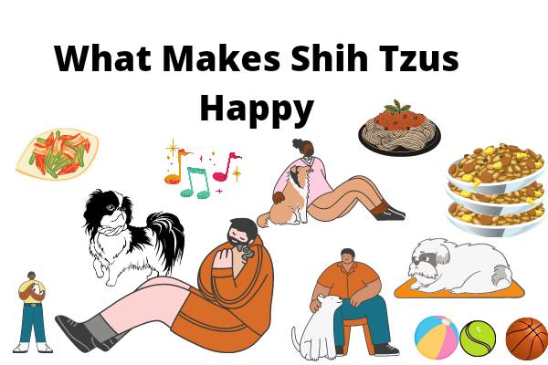 Things that makes Shih Tzus happy