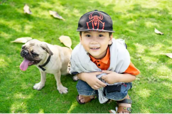 Are Pugs Good With Kids (8 Pros, Cons & Tips)