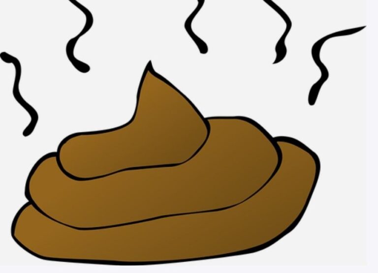 11 Potential Reasons Your Dog Poop Looks Like Mucus