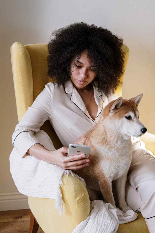 How to Manage Dogs Being Possessive of Their Owners with Other Dogs